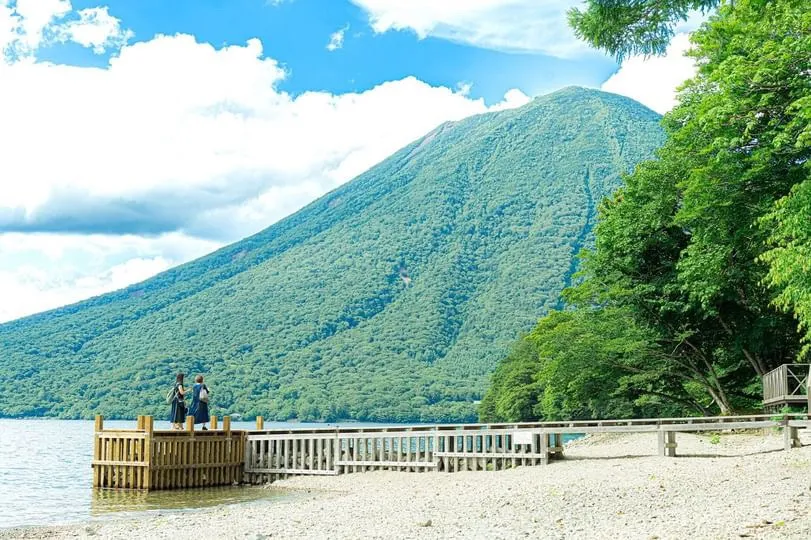 『和歌山と芒種（ぼうしゅ）の占い：自然と調和する暮らしの知恵』